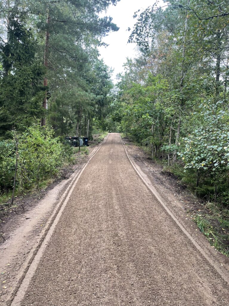 Færdig grusvej gennem skoven